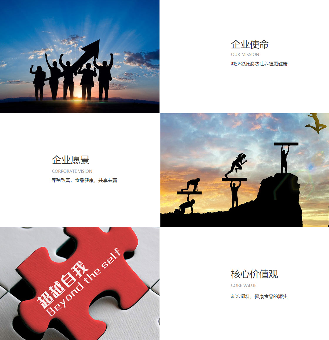 JJB竞技宝官网(图1)